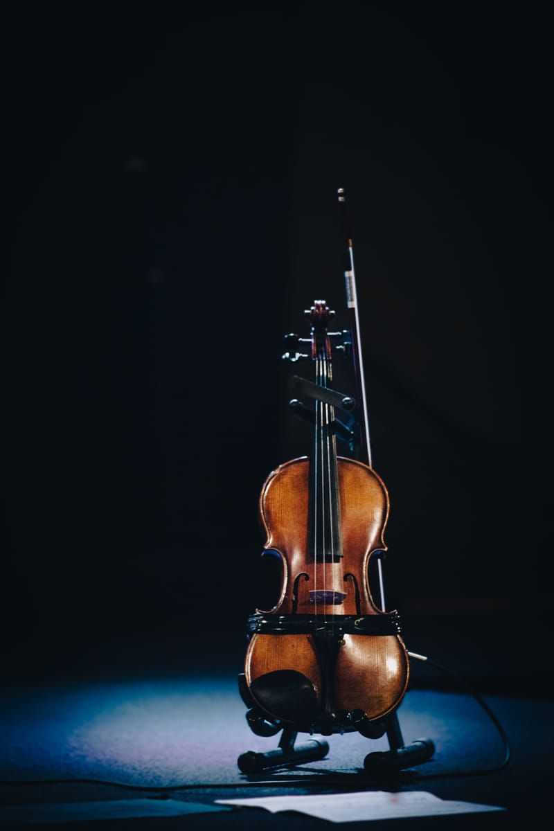 Tipos de cuerdas para violín y sus materiales